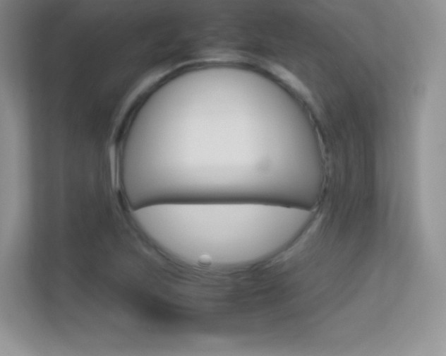 X0000113331223200909141000