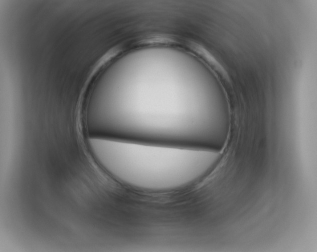 X0000113331229200909141000