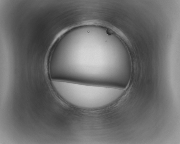 X0000113331230200909141000