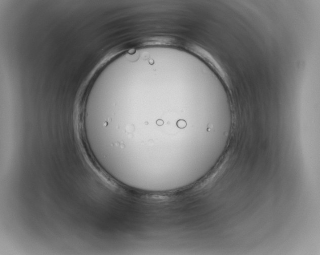 X0000113331235200909141001