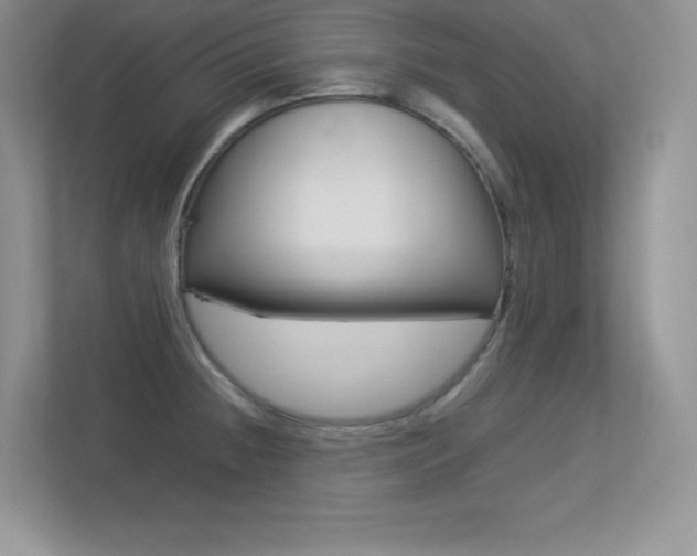 X0000113331236200909141001