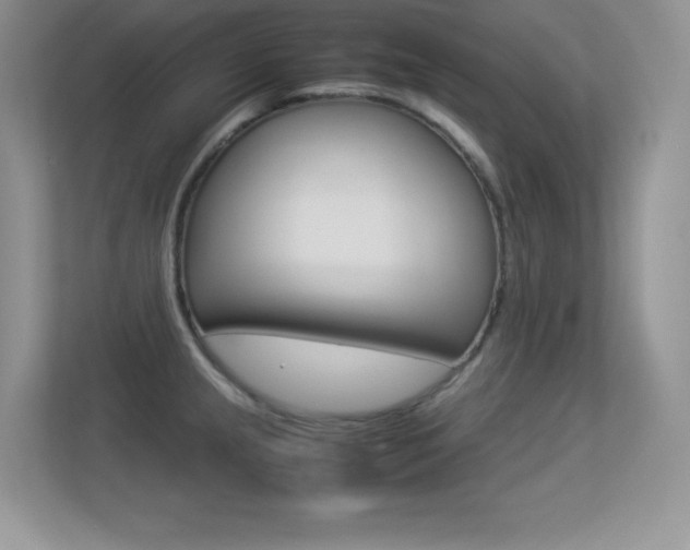 X0000113331237200909141001