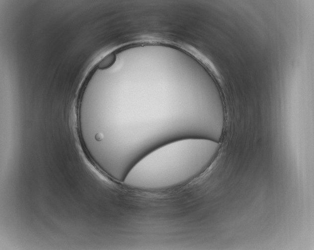 X0000113331239200909141001