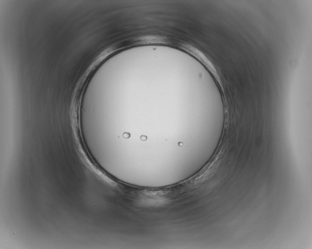 X0000113331243200909141001