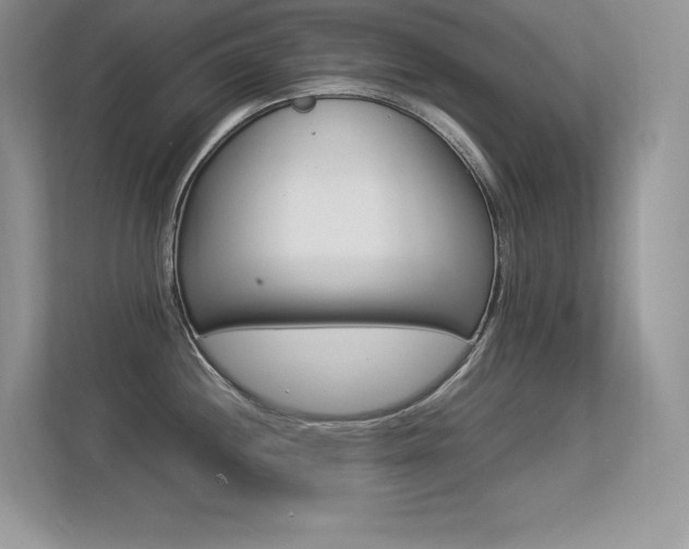 X0000113331244200909141001