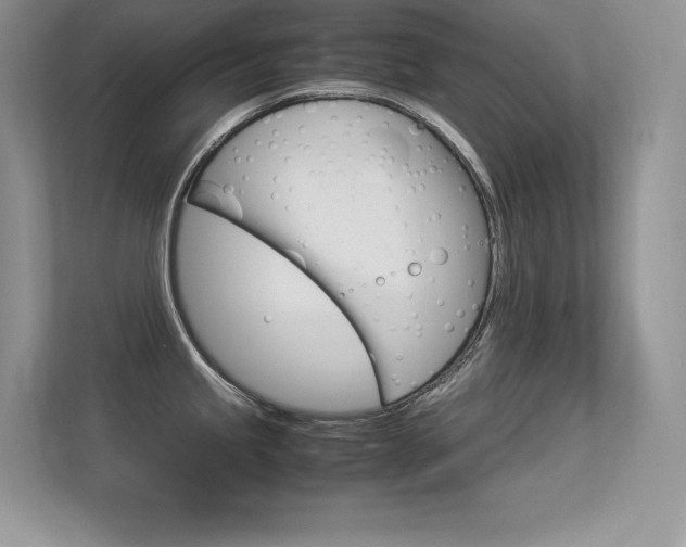 X0000113331245200909141001