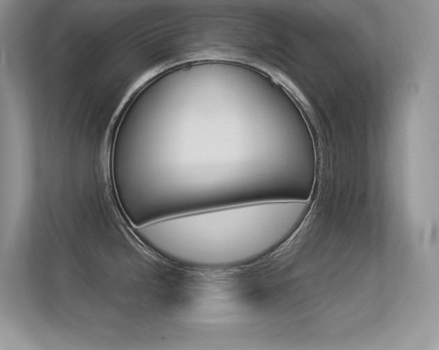 X0000113331246200909141001