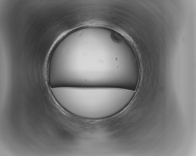 X0000113331248200909141001
