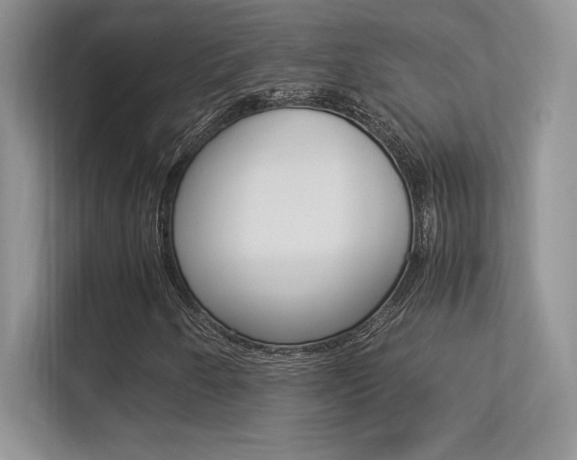 X0000113331250200909141000