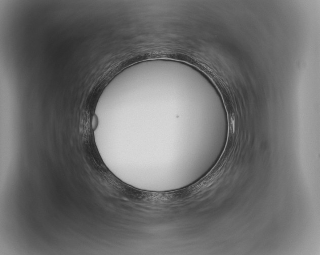 X0000113331251200909141000