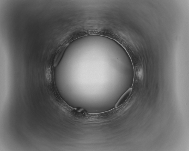 X0000113331252200909141000