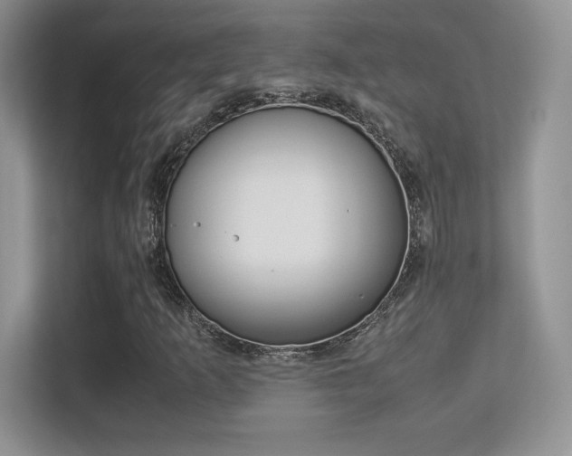 X0000113331253200909141000