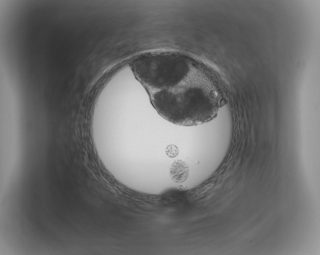 X0000113331255200909141000