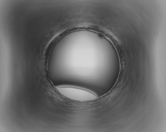 X0000113331256200909141000