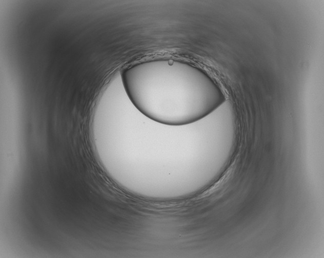 X0000113331257200909141000