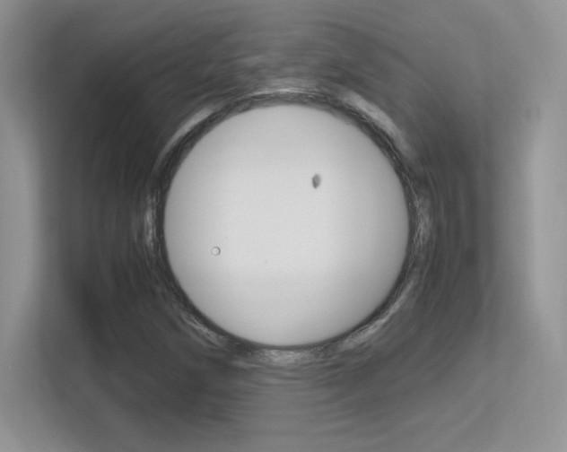X0000113331258200909141000