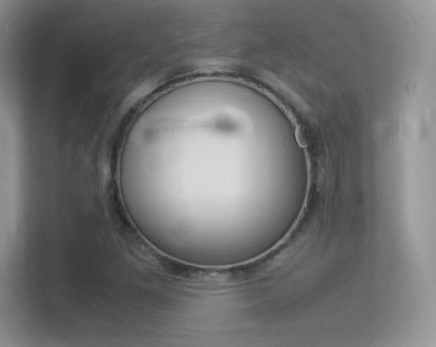 X0000113331261200909141000