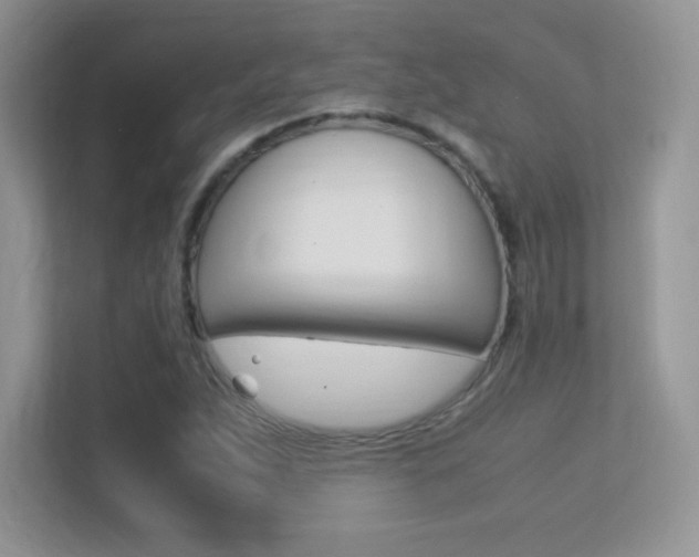 X0000113331263200909141000