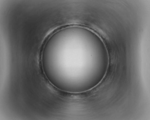 X0000113331264200909141000