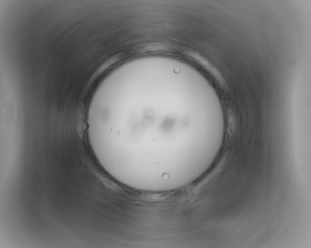 X0000113331266200909141000
