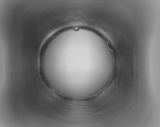 X0000113331270200909141000