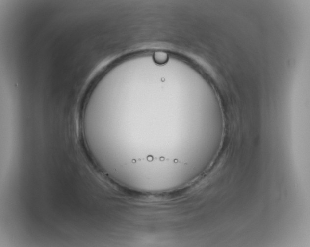 X0000113331271200909141000
