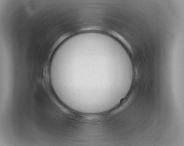 X0000113331274200909141000