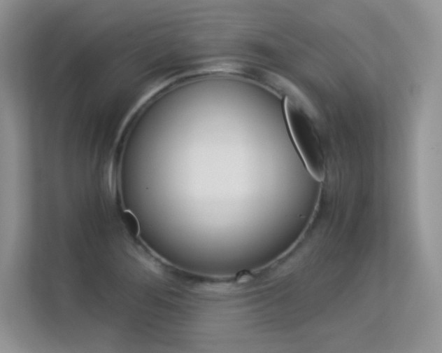 X0000113331276200909141000