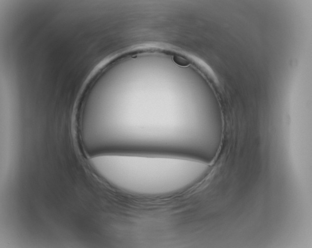 X0000113331279200909141000