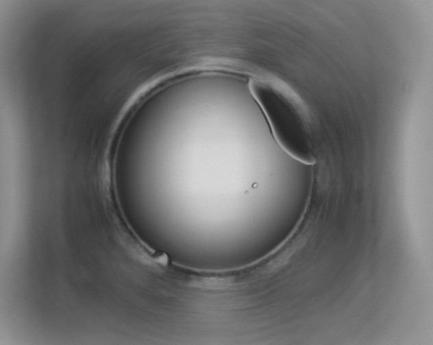 X0000113331280200909141000