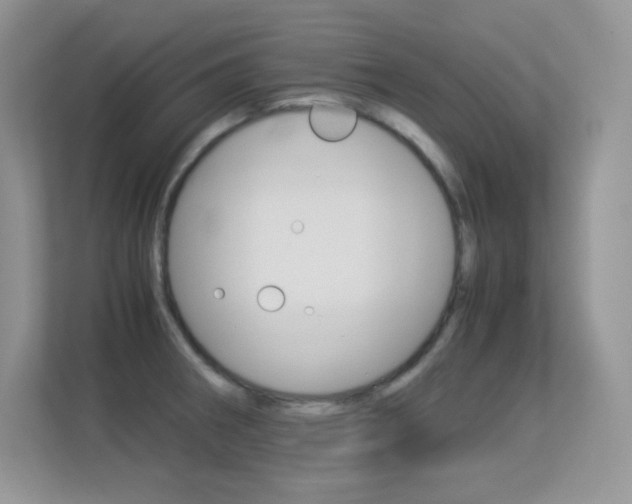 X0000113331282200909141000