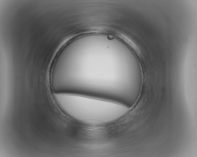 X0000113331283200909141000