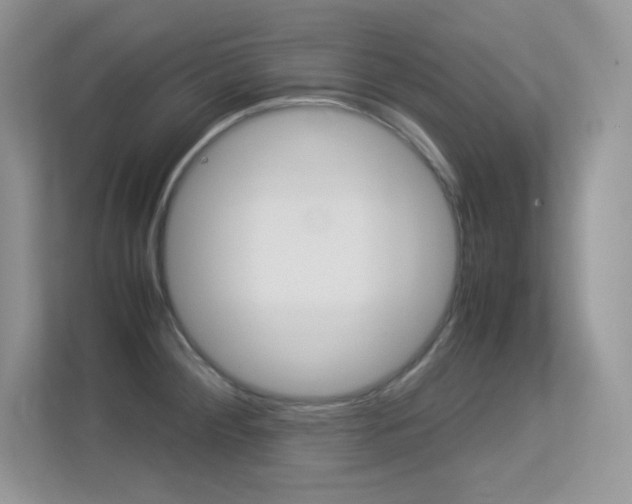 X0000113331284200909141000