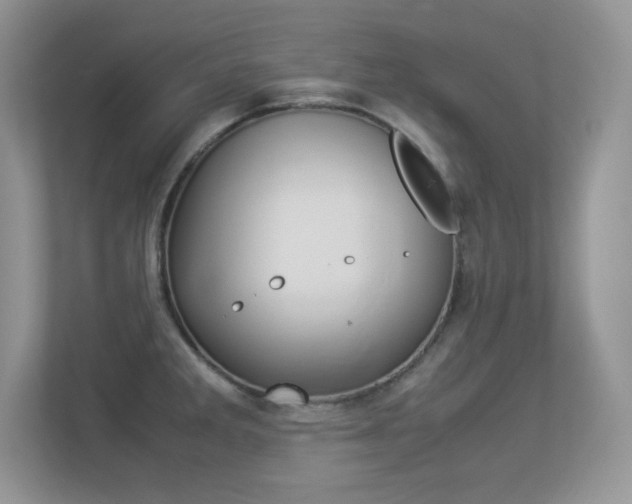 X0000113331285200909141000