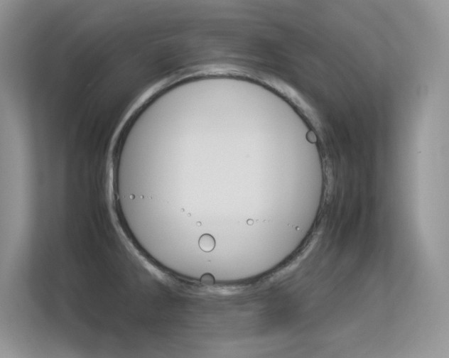 X0000113331286200909140959