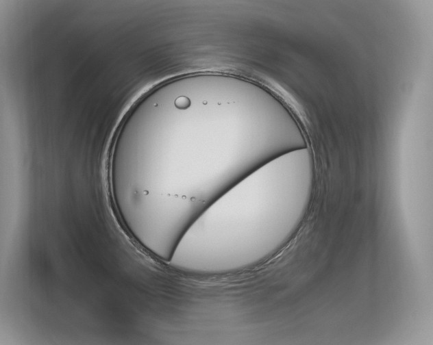 X0000113331291200909140959