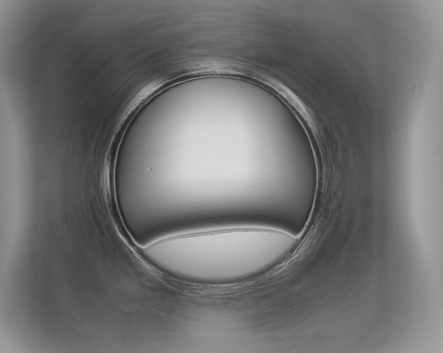 X0000113331293200909140959
