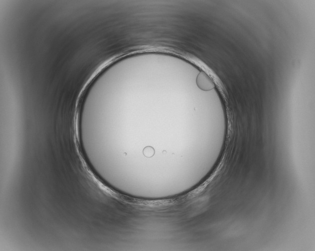 X0000113331294200909140959
