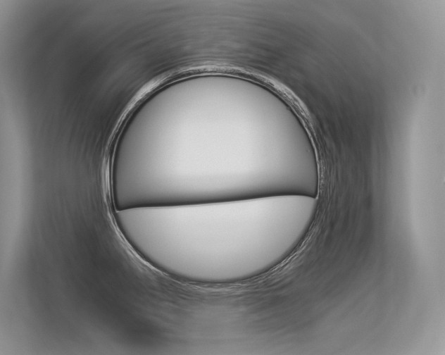X0000113331295200909140959