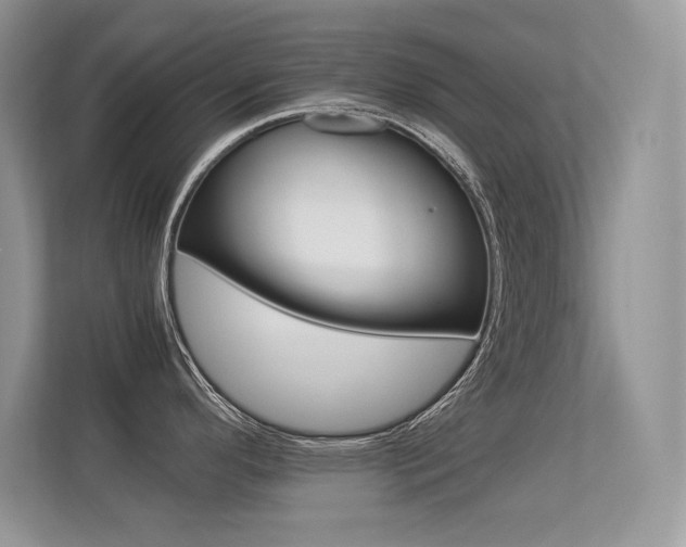 X0000113331296200909140959