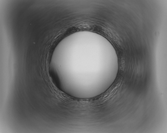 X0000113331297200909140959