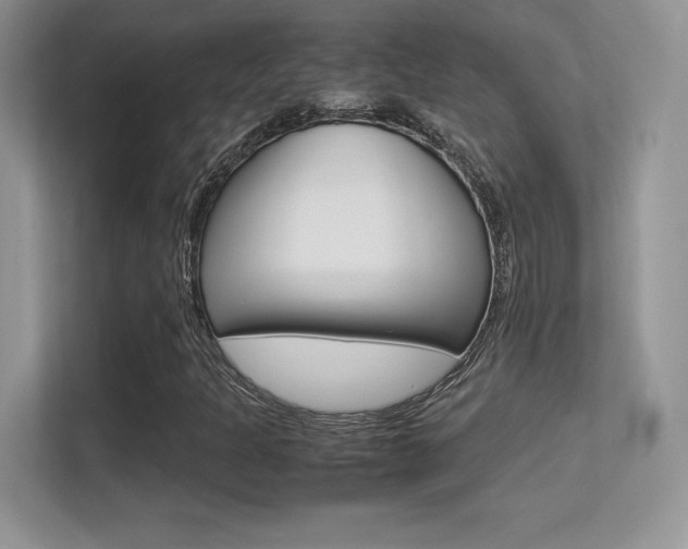 X0000113331301200909140959