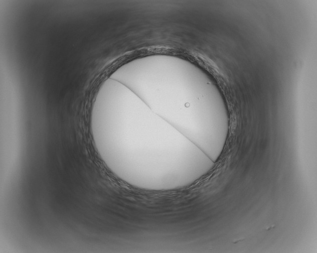 X0000113331303200909140959