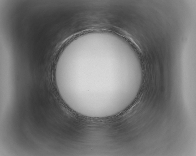 X0000113331304200909140959