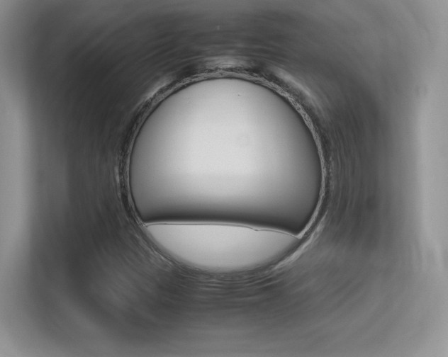 X0000113331305200909140959
