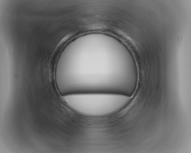 X0000113331306200909140959