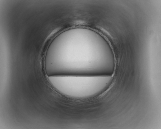 X0000113331309200909140959