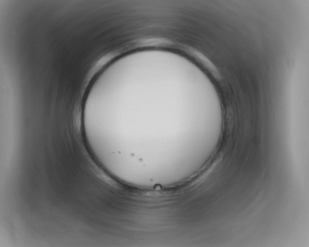 X0000113331322200909140959