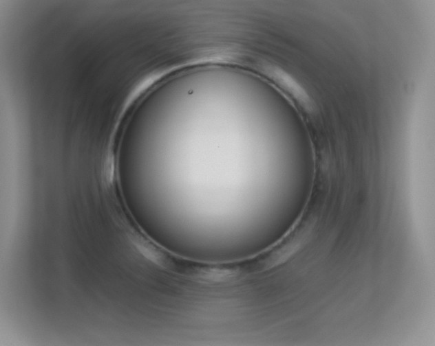 X0000113331324200909140959