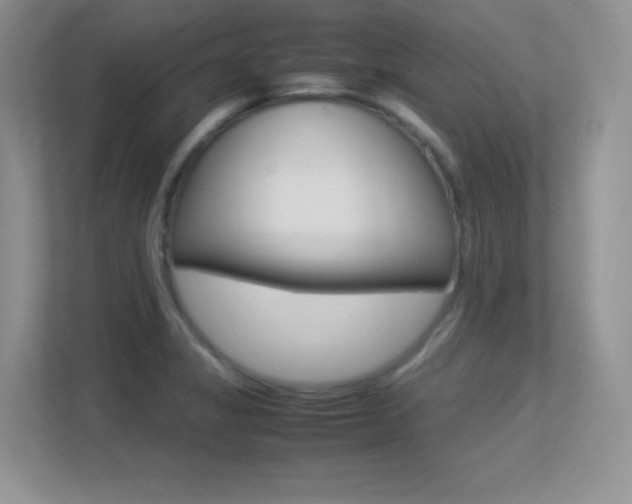 X0000113331325200909140959
